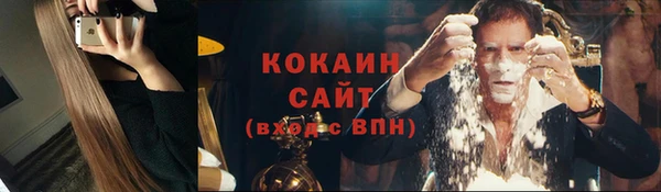 крисы Бронницы