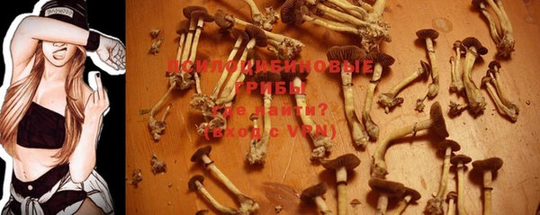 крисы Бронницы