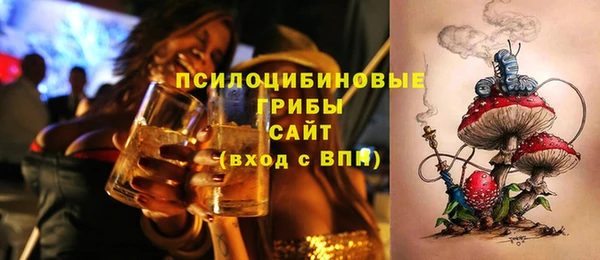 крисы Бронницы