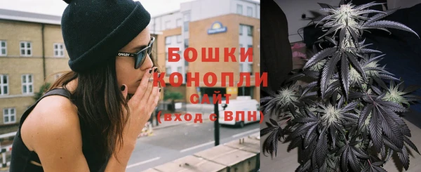 крисы Бронницы