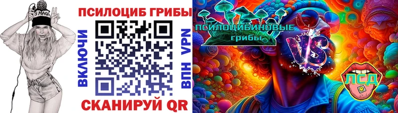 Псилоцибиновые грибы GOLDEN TEACHER Купить где Данков